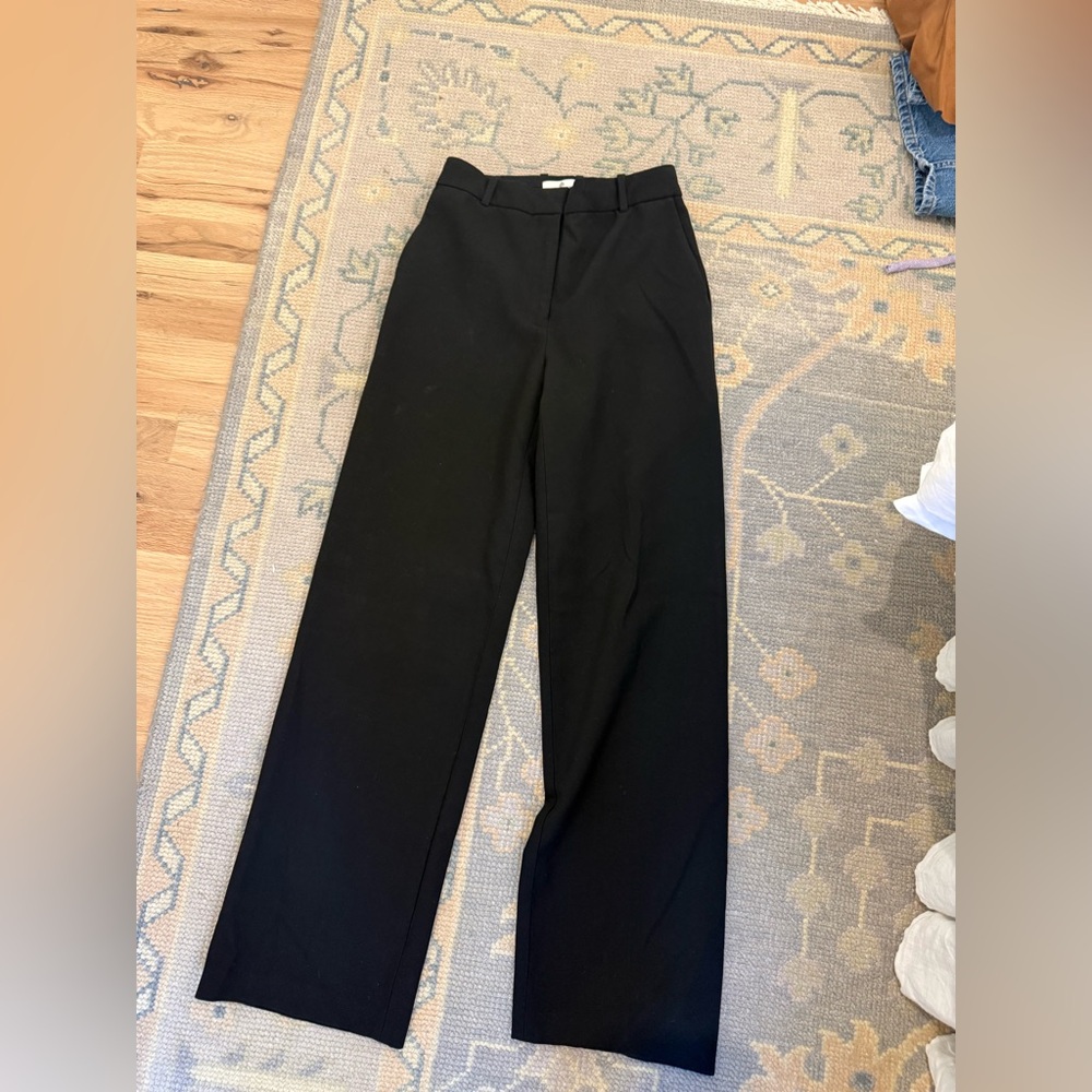 Aritzia Babaton Pants